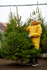 Image showing little girl choosing christmas tree at market