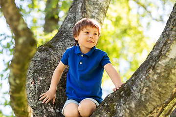 Image showing happy little boy climbing tree at park