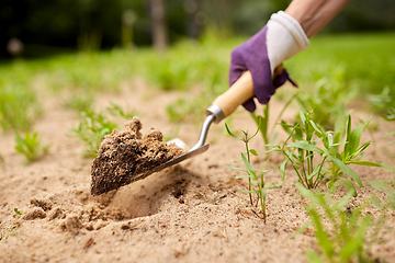 Image showing hand digging flowerbed ground with garden trowel