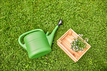 Image showing watering can and flowers in wooden box at garden