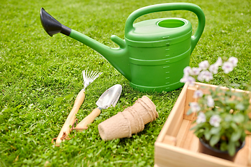 Image showing garden tools and flowers in wooden box at summer