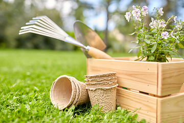 Image showing garden tools and flowers in wooden box at summer