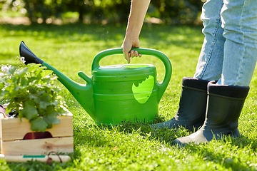 Image showing woman with garden tools in wooden box at summer