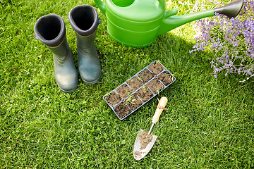 Image showing seedlings in starter pots tray with soil at garden