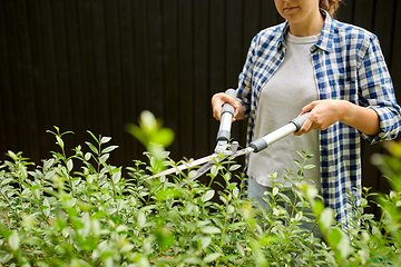 Image showing woman with pruner cutting branches at garden