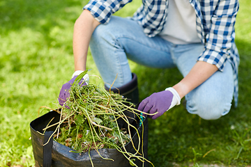 Image showing woman with bag full of weed at summer garden