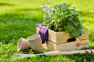 Image showing garden tools and flowers in wooden box at summer