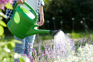 Image showing young woman watering flowers at garden