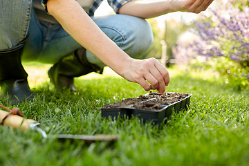 Image showing woman planting flower seeds to pots tray with soil