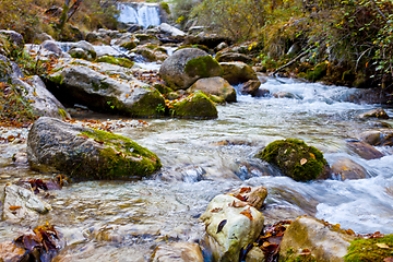 Image showing Mountain stream in old forest.