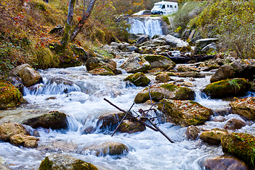 Image showing Mountain stream in old forest.