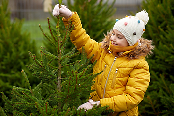 Image showing little girl choosing christmas tree at market