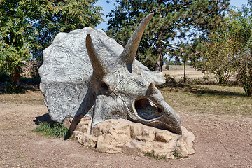 Image showing prehistoric dinosaur triceratops skull