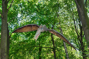 Image showing prehistoric flying dinosaur Pteranodon in nature