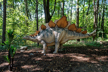 Image showing prehistoric dinosaur stegosaurus in nature