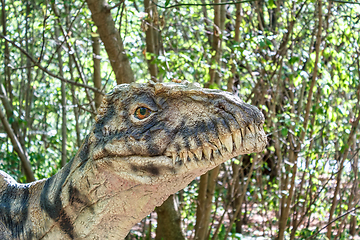 Image showing prehistoric dinosaurs raptor
