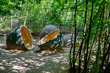 Image showing prehistoric dinosaur eggs in nature environment