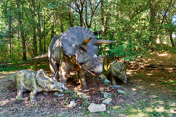Image showing prehistoric dinosaur triceratops in nature