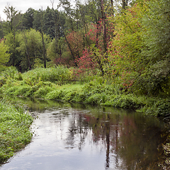 Image showing autumn landscape