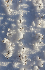 Image showing Snow covered field