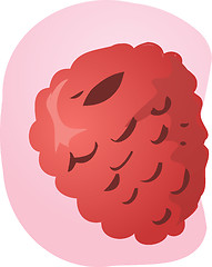 Image showing Raspberry fruit illustration