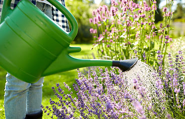 Image showing young woman watering flowers at garden