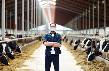 Image showing male farmer in mask with cows on dairy farm