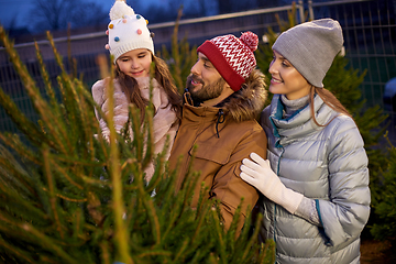 Image showing happy family choosing christmas tree at market