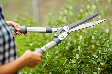 Image showing woman with pruner cutting branches at garden
