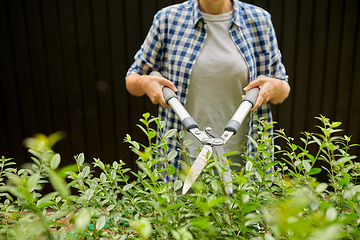 Image showing woman with pruner cutting branches at garden