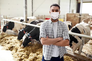 Image showing male farmer in mask with cows on dairy farm