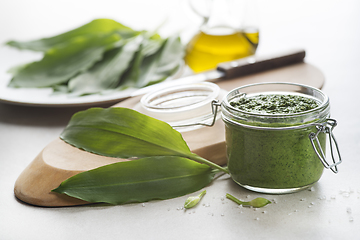 Image showing Wild garlic ramson pesto