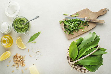 Image showing Wild garlic ramson pesto