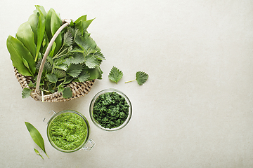 Image showing Pesto ramson wild garlic nettle