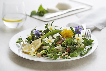 Image showing Dandelion salad spring