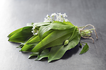 Image showing Wild garlic ramson 