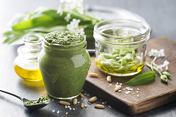 Image showing Wild garlic ramson pesto