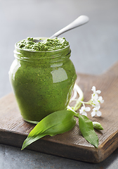 Image showing Wild garlic pesto