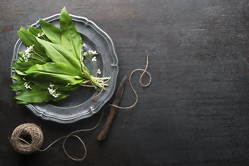 Image showing Wild garlic ramson