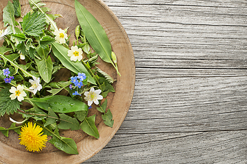 Image showing Spring plants food