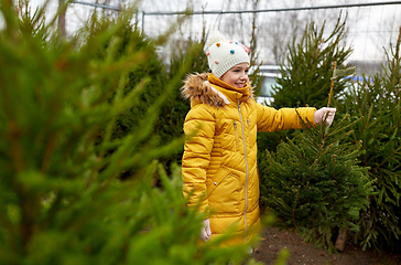 Image showing little girl choosing christmas tree at market