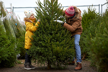 Image showing happy family choosing christmas tree at market