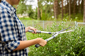 Image showing woman with pruner cutting branches at garden