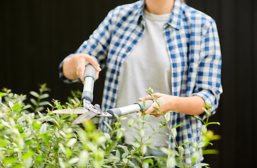 Image showing woman with pruner cutting branches at garden