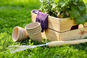 Image showing garden tools and flowers in wooden box at summer