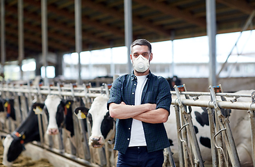 Image showing male farmer in mask with cows on dairy farm