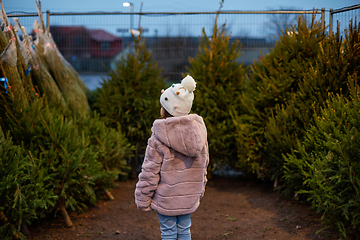 Image showing little girl choosing christmas tree at market