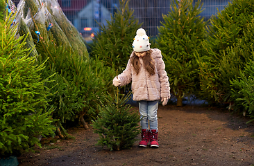 Image showing little girl choosing christmas tree at market