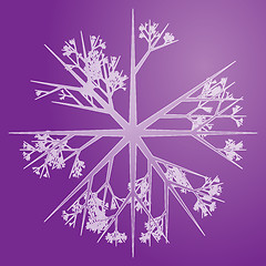 Image showing Snowflake illustration