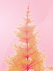 Image showing Pine tree illustration